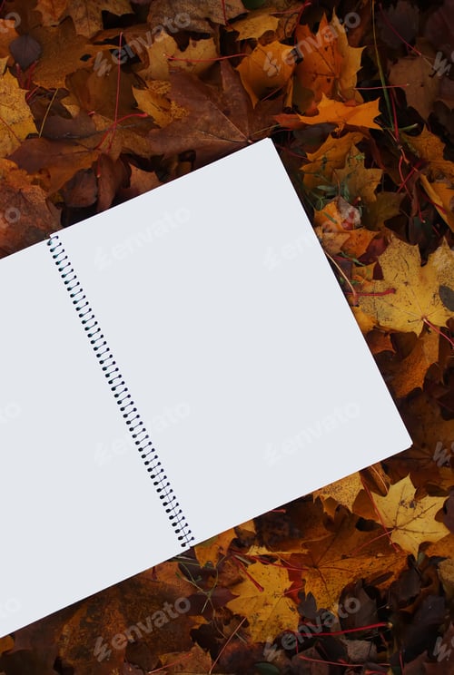 Preview: Blank Paper On Fall Autumn Leaves On The Ground