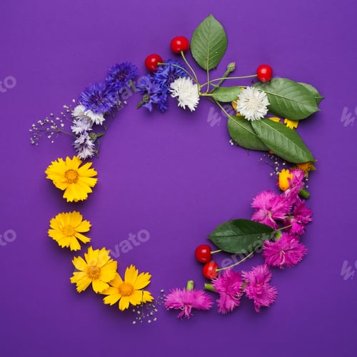 Preview: The Composition Of Flowers And Berries In Circle On The Violet Table. The Mix Of Bluets, Cherries