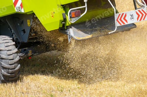 Preview: Harvester At Work On The Field Harvesting Ripe Wheat