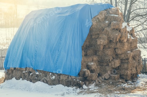 Preview: Large Stack Of Straw Bales In Winter Time. Pile Of Straw Stack. Vintage Style.