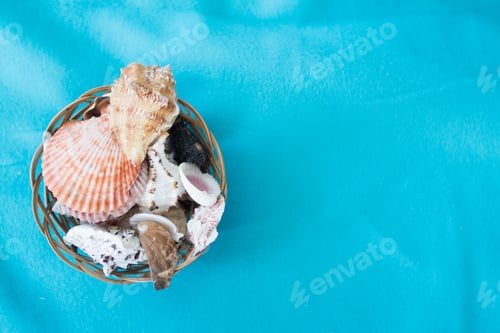 Preview: Seashells In A Basket On A Blue Background