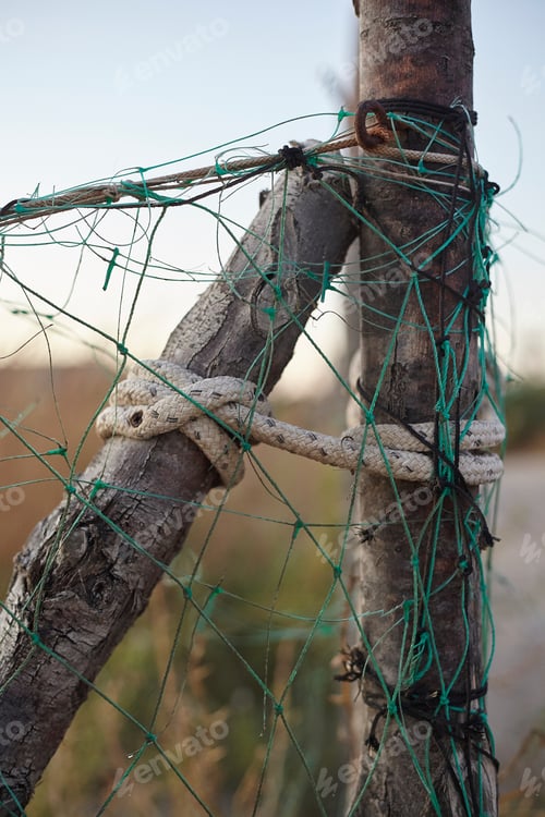 Preview: Knots In The Wood Branches In A Fence