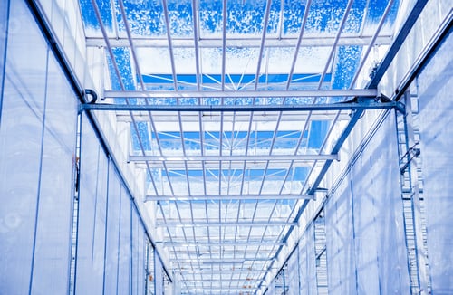 Preview: The Frame Of A Modern Greenhouse Against The Sky. Beautiful Background