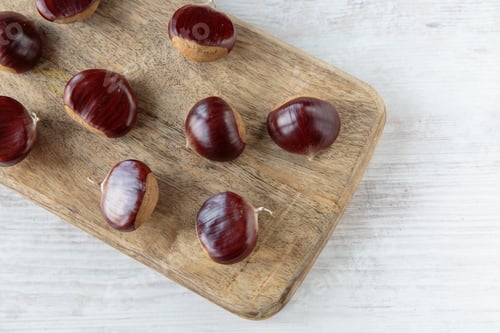 Preview: Bunch Of Fresh Raw Chestnuts In Autumn Season