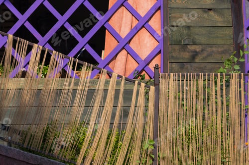 Preview: Decorative Fence Of Public Catering Abstract Background Of The Terrace Of A Street Cafe Or