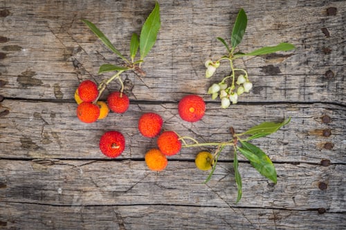 Preview: Delicious Fresh Arbutus Fruits On A Wooden Table