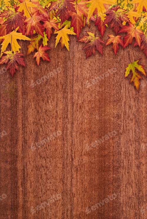 Preview: Autumn Frame