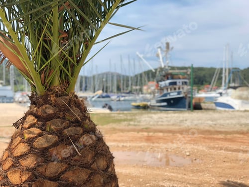 Preview: Harbor In The Town Sutomiscica On The Island Of Ugljan In Croatia