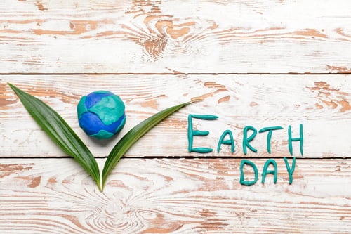 Preview: Composition For Earth Day On Wooden Background
