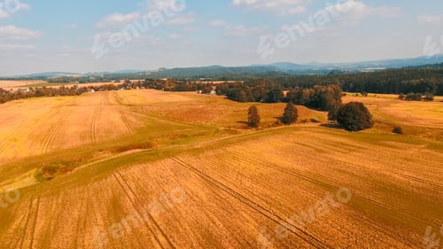 Preview: Aerial View Of Countryside Meadows In Summer.