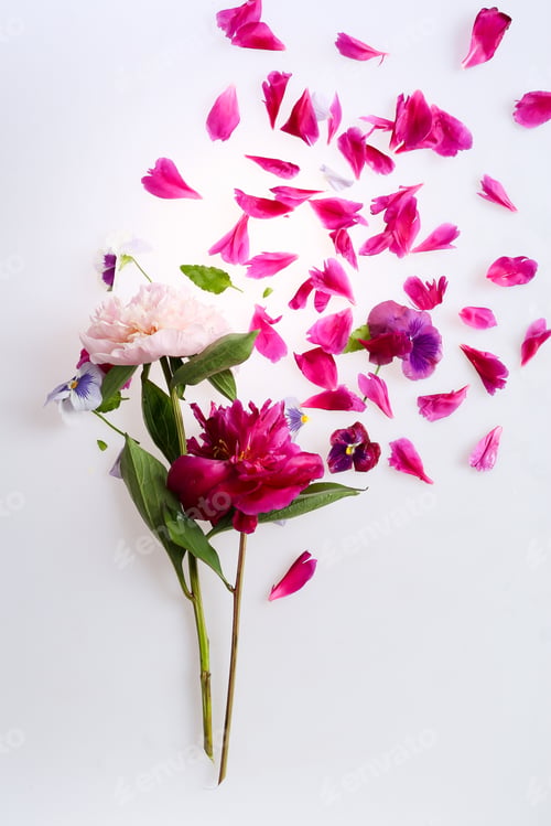 Preview: Bouquet Of Peonies