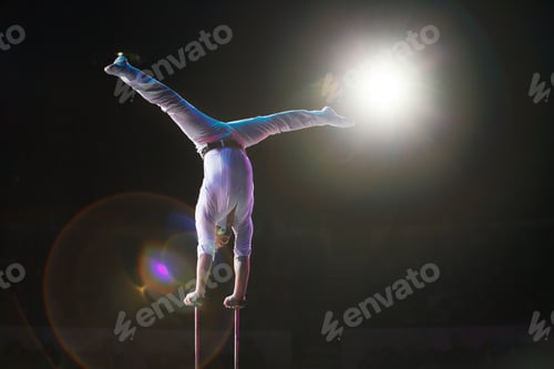 Vista previa: Performance Of Air Acrobats In The Circus