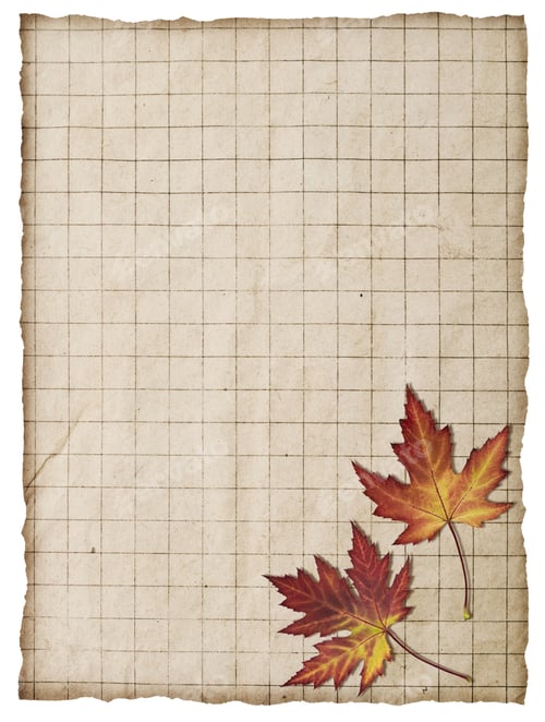 Preview: Autumn Leaves On The Old Paper Sheet