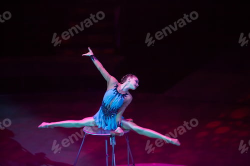 Preview: Performances Of A Gymnast In A Circus