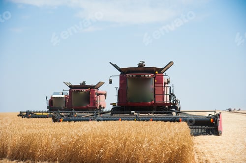 Visualização: Agriculture. Combine Harvester On A Wheat Field With Blue Sky
