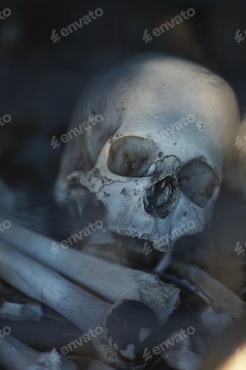 Preview: The Human Skull In The Ancient Burial. Republic Of North Ossetia