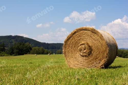 Preview: Straw Bales On A Meadow In Summer, Rural Background, Texture Of Dry Grass Straw.