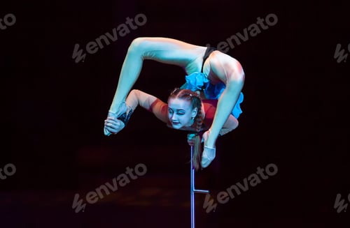 Preview: Performances Of A Gymnast In A Circus