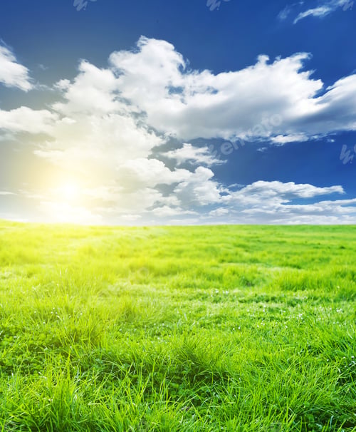 Preview: Green Meadow Under Nice Sky