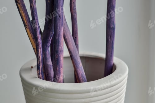 Preview: Closeup Of Decoration With Dry Rustic Branches In The Vase