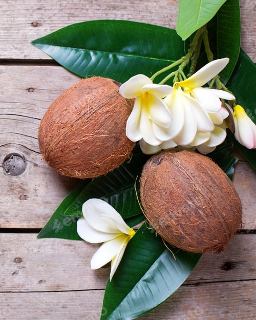 Preview: Two Coconuts On Leaves And Plumeria Flowers On Aged Wooden Background. Selective Focus. Flat Lay