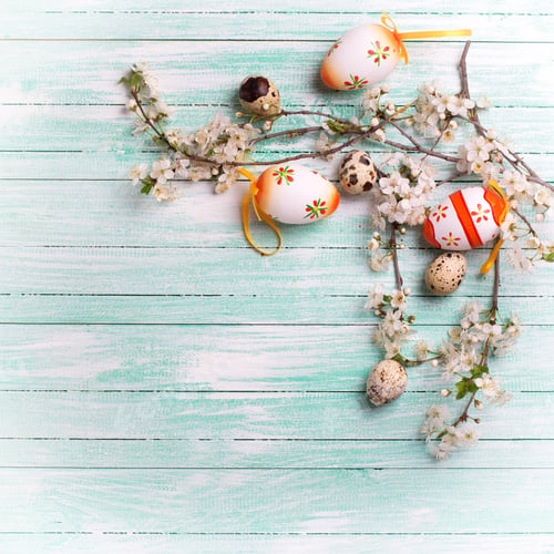 Preview: Background With White Spring Flowering Branches Of Trees And Easter Decorative Eggs On Turquoise