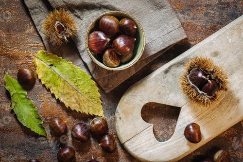 Preview: Fresh Raw Chestnuts Fruits In Autumn Season