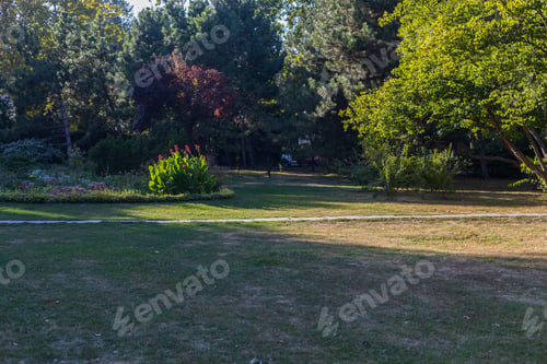 Preview: Abstract Background With Beautifully Arranged Public Space. City Park With Excellent Landscaping