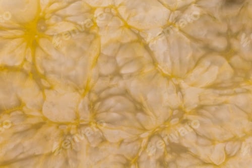 Preview: Natural Marble In Interior Decoration. A Real Stone. Background. A Graphic Resource Or Template For