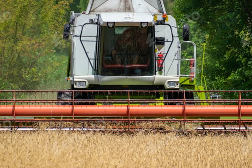 Preview: Harvester At Work On The Field Harvesting Ripe Wheat