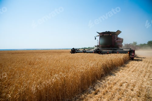 Preview: Agriculture. Combine Harvester On A Wheat Field With Blue Sky