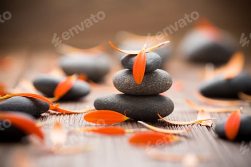 Preview: Gerbera Flower Petals And Spa Stones, Wooden Background.