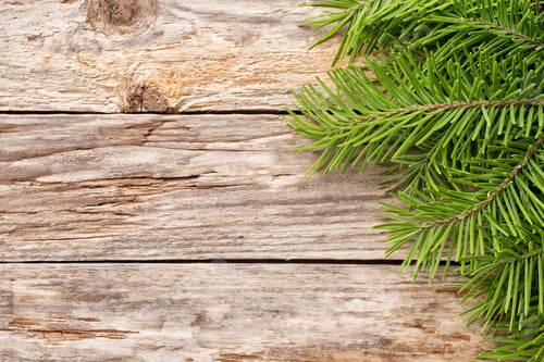 Preview: Spruce Twigs On A Wooden Background, Photo Studio.