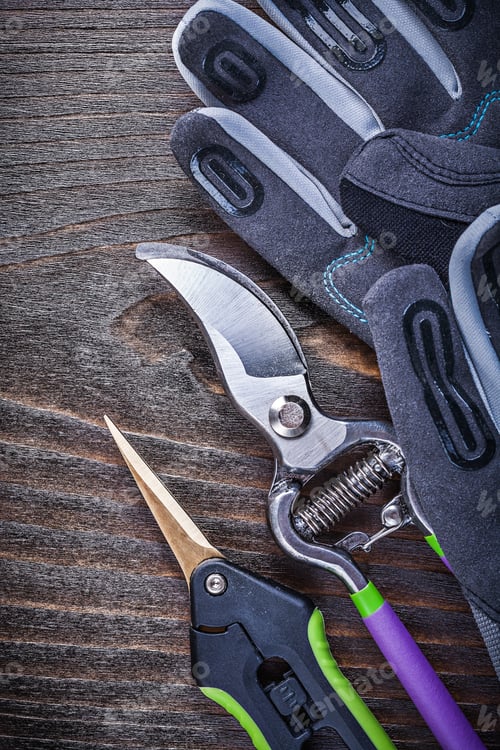 Preview: Working Gloves Garden Shears Pruner On Wooden Board.
