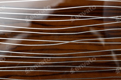 Visualização: Textura brilhante com luz de fundo, fundo, nogueira prateada