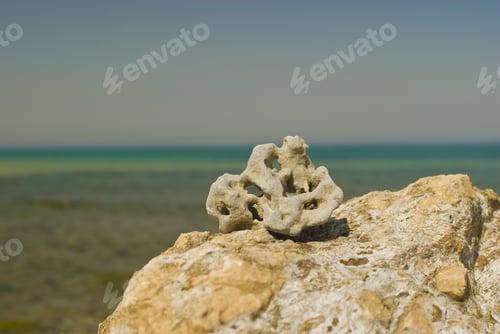Preview: Stones On The Beach