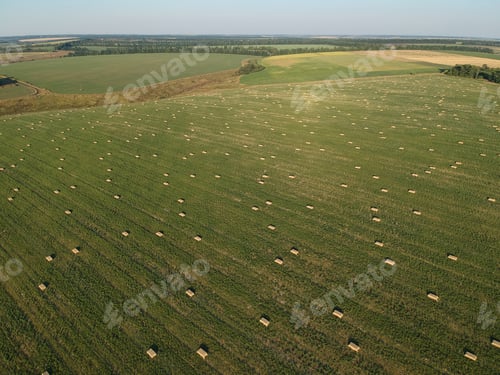 Preview: Aerial View To Stacked Hay On The Wheat Field Under Sky. Ambrosia Field. Drone Photography.