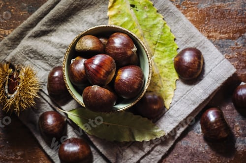 Preview: Fresh Raw Chestnuts Fruits In Autumn Season