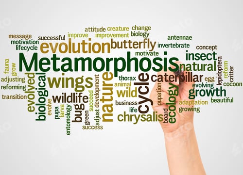 Preview: Metamorphosis Word Cloud And Hand With Marker Concept On White Background.