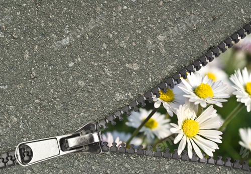 Preview: Flower Hidden Behind A Zip Showing Urban Concept