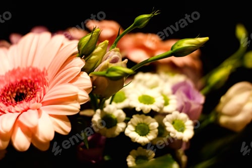 Preview: Flower Puget, Pink Gerberas, Blue Roses, Daisies On Abstract Dark Background