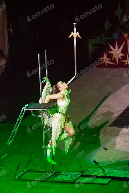 Preview: Dog Trainer In A Circus