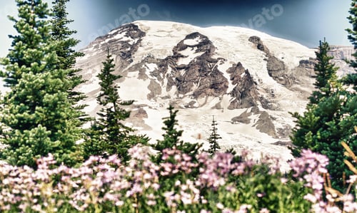 Preview: Majesty Of Mount Rainier In Summer Time.