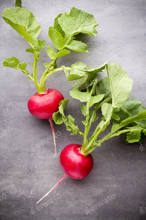Preview: Radishes On The Grey Background. Still Life.