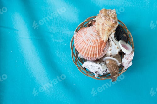 Preview: Seashells In A Basket On A Blue Background