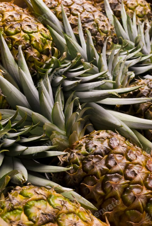 Pile of Fresh Pineapples Close-Up