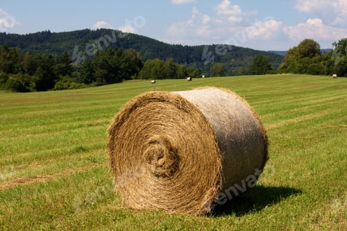 Preview: Straw Bales On A Meadow In Summer, Rural Background, Texture Of Dry Grass Straw.