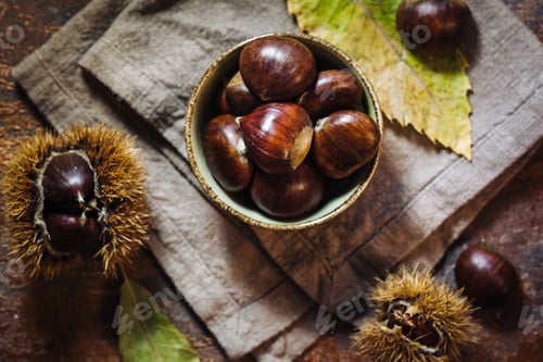 Preview: Fresh Raw Chestnuts Fruits In Autumn Season