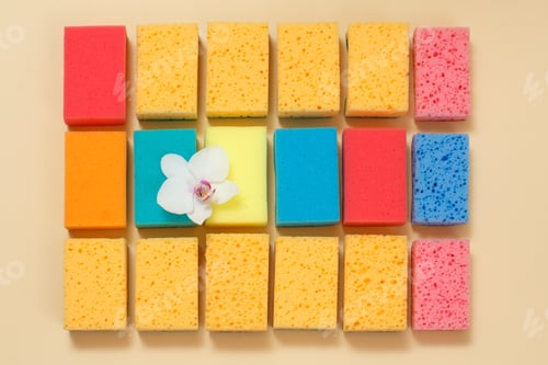 Preview: Sponges Of Different Colors With A Bud Of Orchid Flower On A Beige Background. Top View. Washing