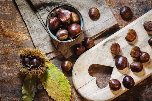 Preview: Fresh Raw Chestnuts Fruits In Autumn Season